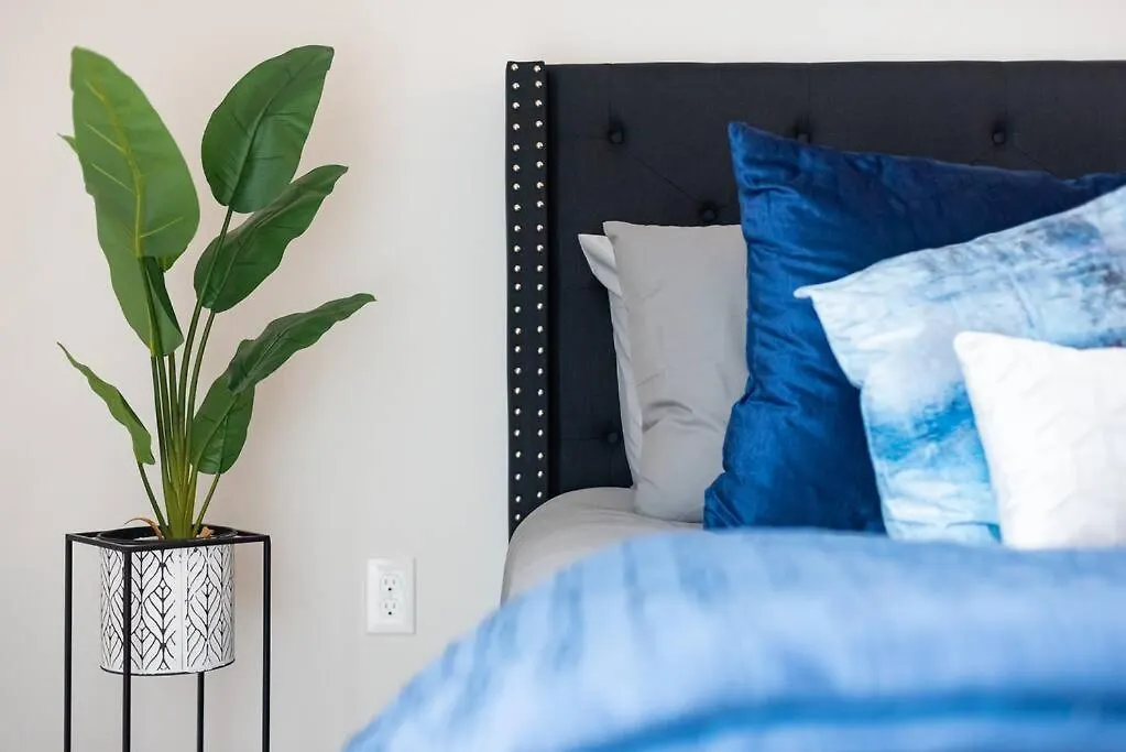 Apartment Serenity Luxe Stays Charlotte United States